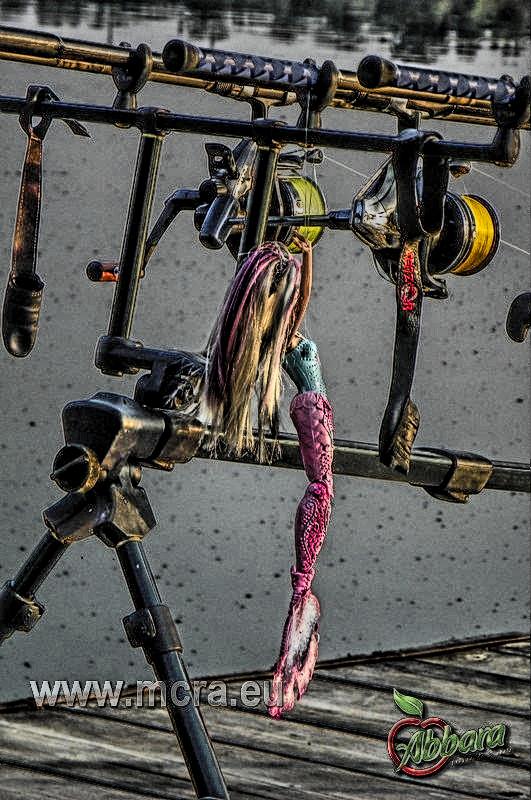 MeetCarp Romanian Awards 2013 - 1010023hdrmode2-2.jpg